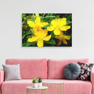 Toile Hypericum calycinum