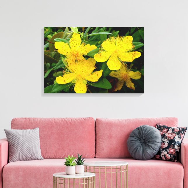 Toile Hypericum calycinum (Insitu(Salon))