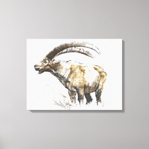 Toile Ibex Noasca