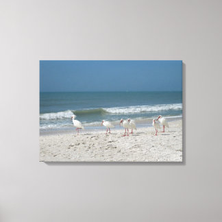 Toile Ibis Beach