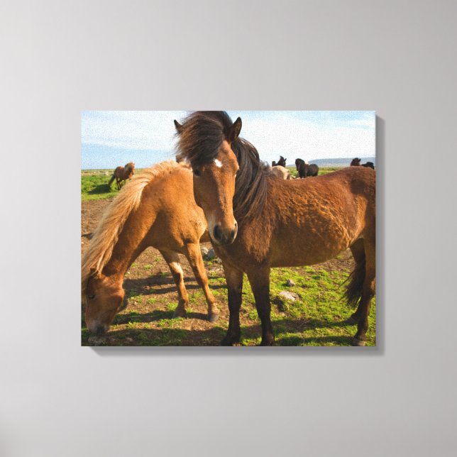Toile Icelandic Horses Graze (Recto)