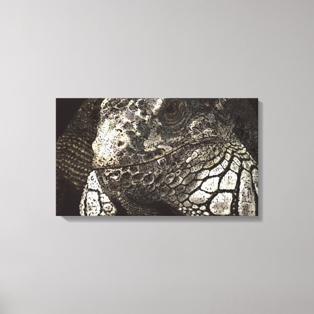Toile Iguana (Recto)