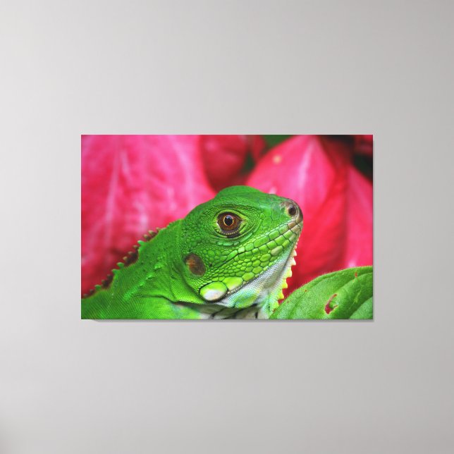 Toile Iguana - rose et vert (Recto)