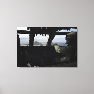 Toile Île de Farallon d'approche d'équipages aériens