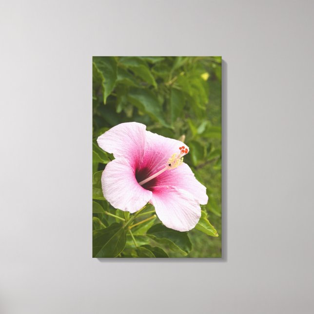 Toile Îles Cook, Atiu. Fleur d'Hibiscus. (Recto)