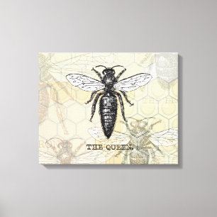 Toile Illustration Antique d'Insecte de Bourdon Reine Ab