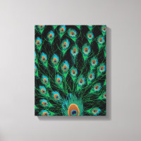 Illustration avec plumes de paon sur noir