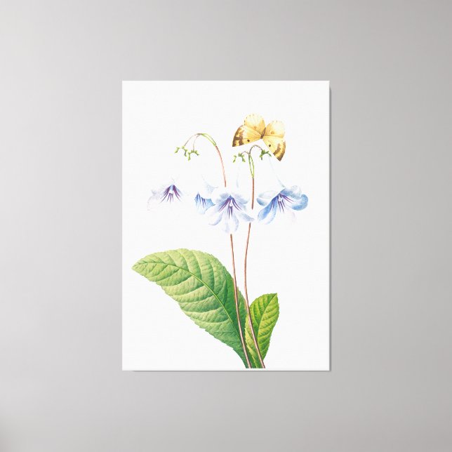 Toile Illustration botanique vintage (Recto)