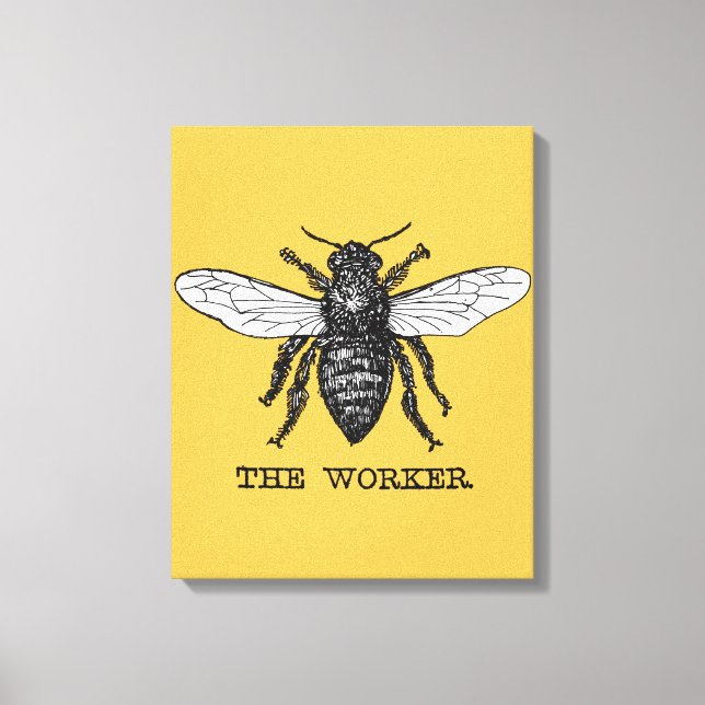 Toile Illustration d'abeille ouvrière vintage (Recto)