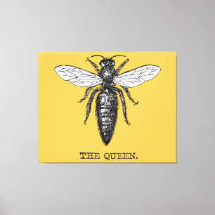 Toile Illustration d'antiquité de l'insecte de la reine 