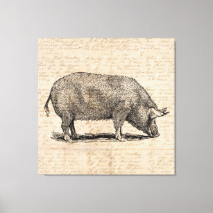 Toile Illustration de cochon Style de papier de script d