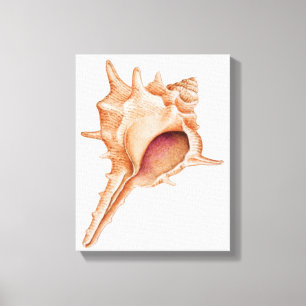 Toile Illustration de coquille de Murex