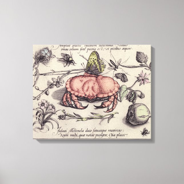 Toile Illustration de fleur d'insecte botanique de crabe (Recto)