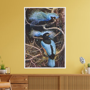 Toile Illustration de Johnston Vintage Blue Bird Paradis
