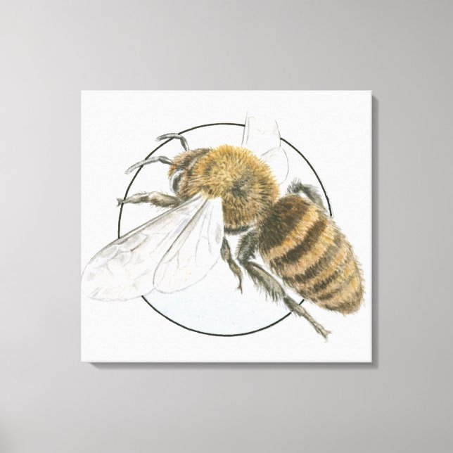 Toile Illustration de l'abeille européenne au miel (Recto)