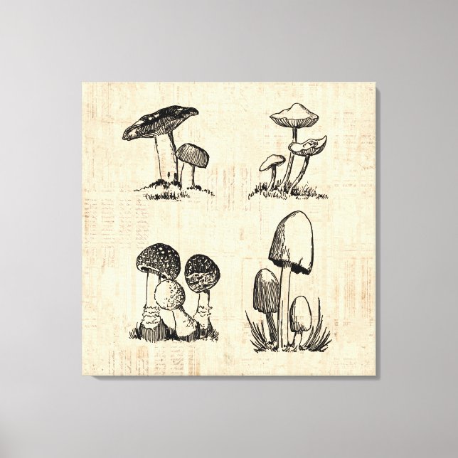 Toile Illustration de l'art des champignons vintages (Recto)