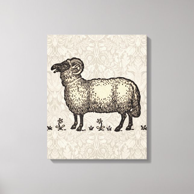 Toile Illustration de mouton vintage : Art classique de  (Recto)