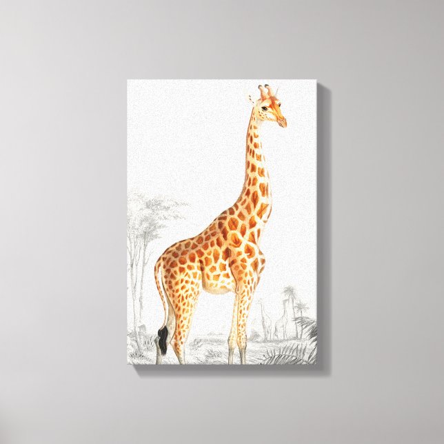 Toile Illustration Giraffe Art Vintage Imprimer (Recto)