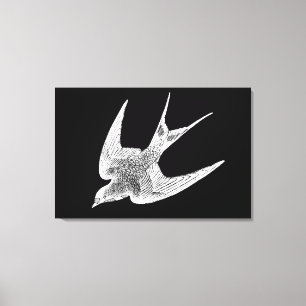 Toile Illustration vintage de l'hirondelle - Antique Ois