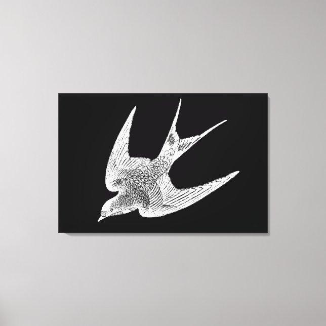 Toile Illustration vintage de l'hirondelle - Antique Ois (Recto)