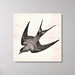Toile Illustration vintage d'hirondelle - oiseau 1800's