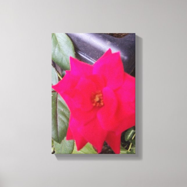 Toile Image Canvass Art (Recto)