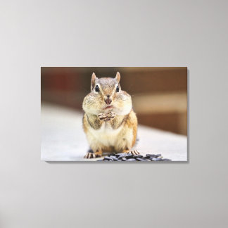 Toile Image Chipmunk