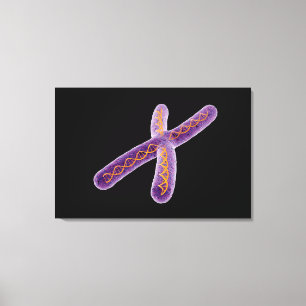 Toile Image Conceptuelle De Chromosome 2