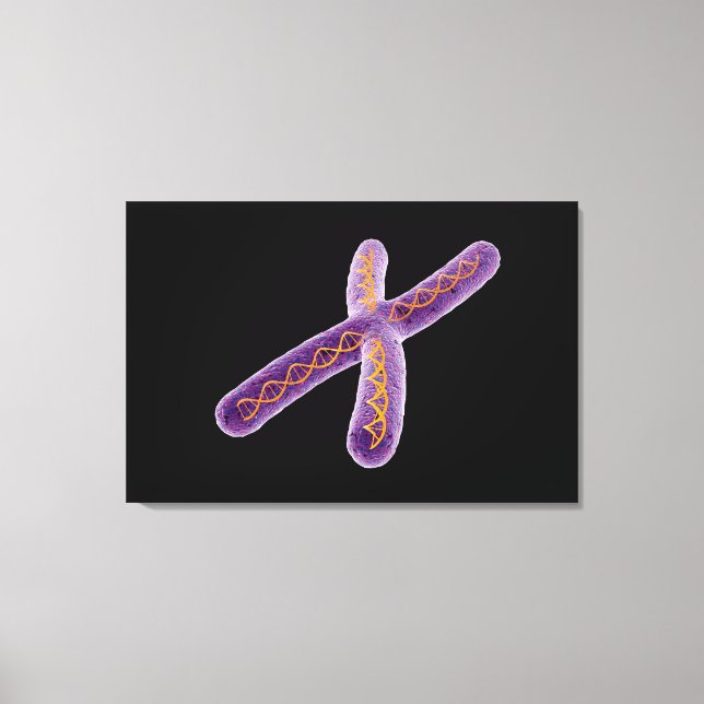 Toile Image Conceptuelle De Chromosome 2 (Recto)