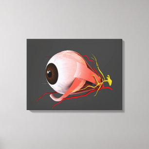 Toile Image conceptuelle de l'anatomie 5 d'oeil humain