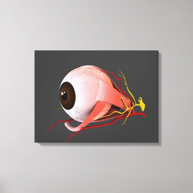Toile Image Conceptuelle De L'Anatomie Des Yeux Humains  (Recto)