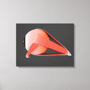 Toile Image Conceptuelle De L'Anatomie Des Yeux Humains