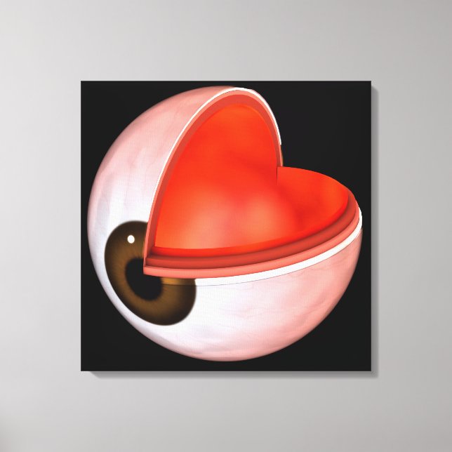 Toile Image Conceptuelle De L'Anatomie Des Yeux Humains  (Recto)