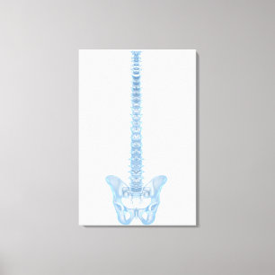 Toile Image conceptuelle de l'épine dorsale humaine 6