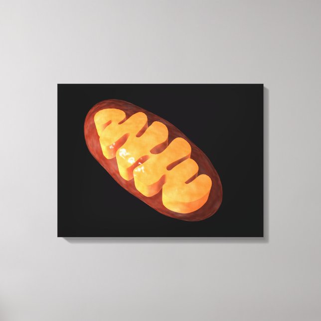 Toile Image Conceptuelle De Mitochondria 1 (Recto)