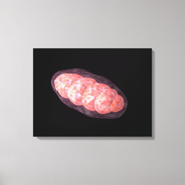 Toile Image Conceptuelle De Mitochondria 2 (Recto)