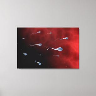 Toile Image Conceptuelle De Sperm À L'Intérieur Du Tube