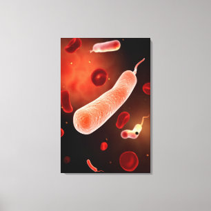 Toile Image Conceptuelle De Vibrio Cholerae 2