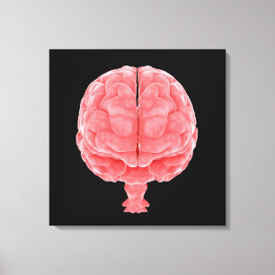 Toile Image Conceptuelle Du Cerveau Humain 3