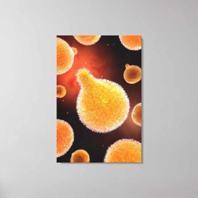 Toile Image Conceptuelle Du Plasmodium À L'Origine Du Pa (Recto)