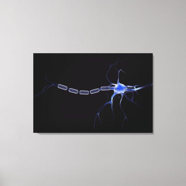 Toile Image Conceptuelle D'Un Neuron 2 (Recto)