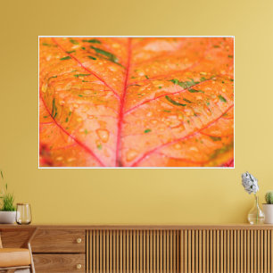 Toile Image de feuille vibrante pour amateur de nature p