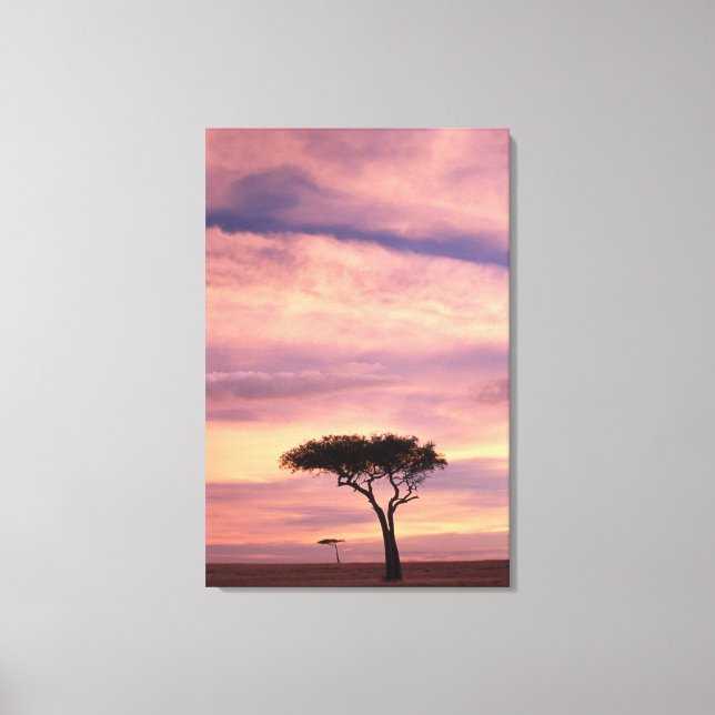 Toile Image de silhouette d'un arbre acacia au lever du  (Recto)