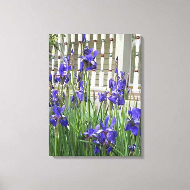 Toile Image Iris Violet (Recto)