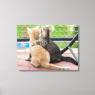 Toile Images de Getty deux chatons sur un balcon