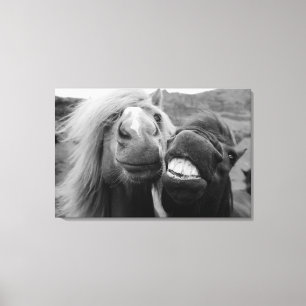 Toile Images Getty   Chevaux souriants