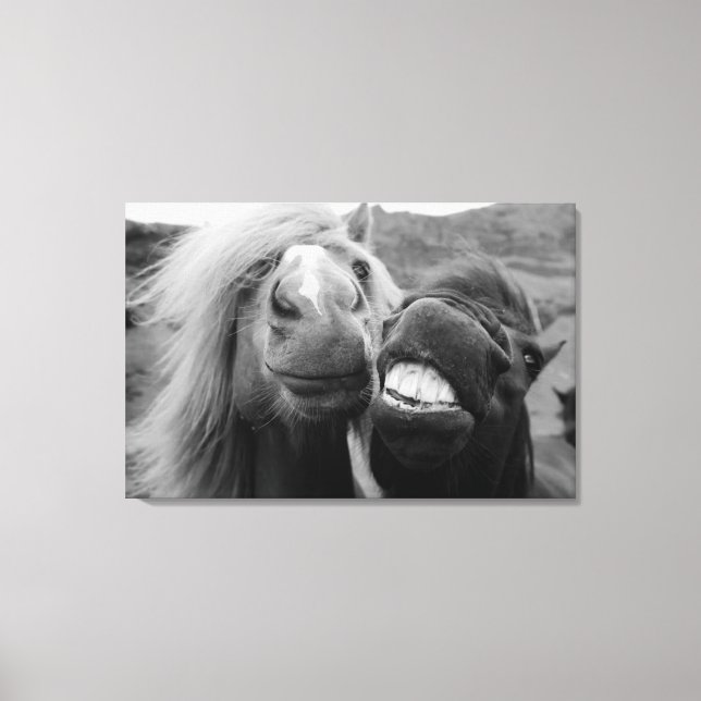 Toile Images Getty | Chevaux souriants (Recto)