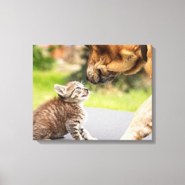 Toile Images Getty | Chien et chat en amour (Recto)