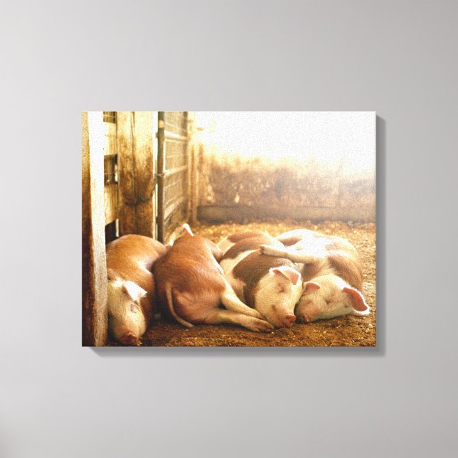Toile Images Getty | Chiens en train de se frotter (Recto)