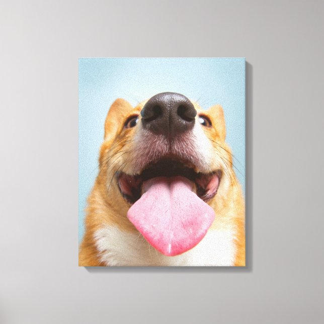 Toile Images Getty | Corgi très heureux (Recto)